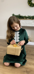 green velvet dress for girls, Maya dress, elegant dress, special occasions, velvet texture, puff sleeves, lace appliqué, girls fashion