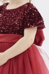 Elisa Dress Ireland, Children's Formal Wear, Girls Sequin Dress, Burgundy Princess Dress, Special Occasion Kids Clothes, High-Quality Girls Dress, Adjustable Kids Dress, Birthday Party Dress, Wedding Dress for Girls