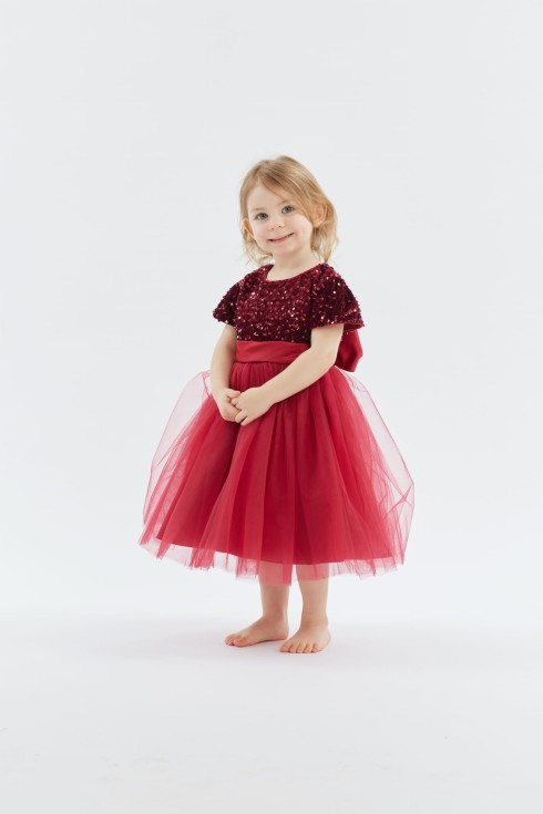 slim fit dress slacks Princess Dress- Blue Princess Wedding Dresses and Dress Up for Toddlers main image 1
