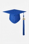 University graduate in Cobalt Crest gown against Irish hall backdrop