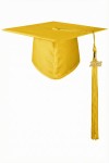 Adult graduate in elegant yellow gown against academic backdrop