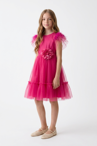 Gabi Fuchsia Tulle Dress for Girls